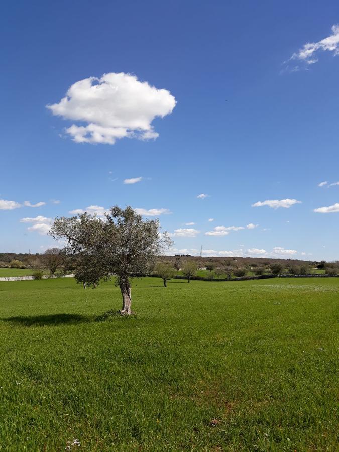 Enjoytrulli - Countryside Villa Noci Bagian luar foto